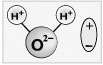 Рис. 1. Молекула воды полярна и представляет собой диполь