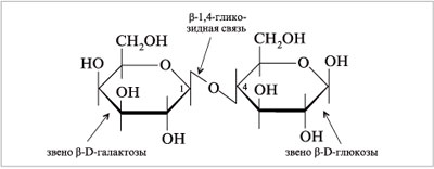 Формула Хеуорса лактозы (-форма)