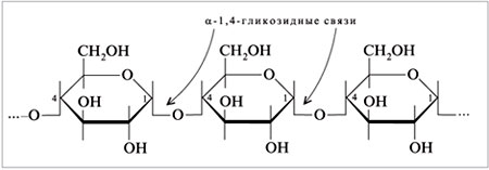 Фрагмент молекулы амилозы – линейного полимера D-глюкозы