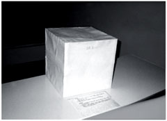 Рис. 4. Куб с воздухом
